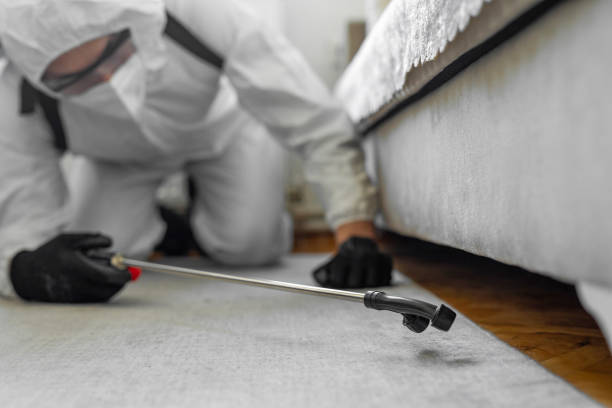 Professional Mosquito Control technician working in Lakeview, OH
