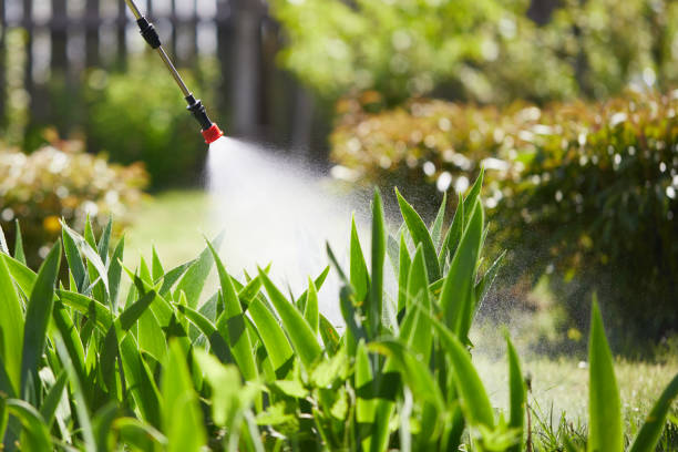 24/7 Emergency Mosquito Control experts in Lakeview, OH