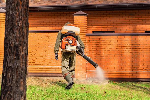 Trusted Mosquito Control service in Lakeview, OH - Nex Pest Control